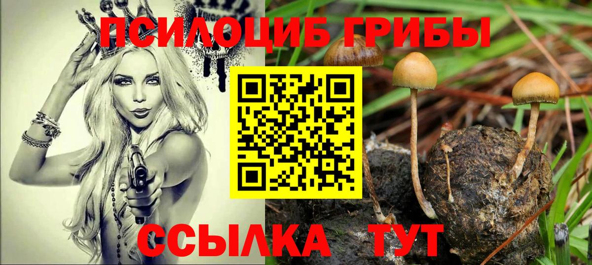 Галлюциногенные грибы прущие грибы Новороссийск
