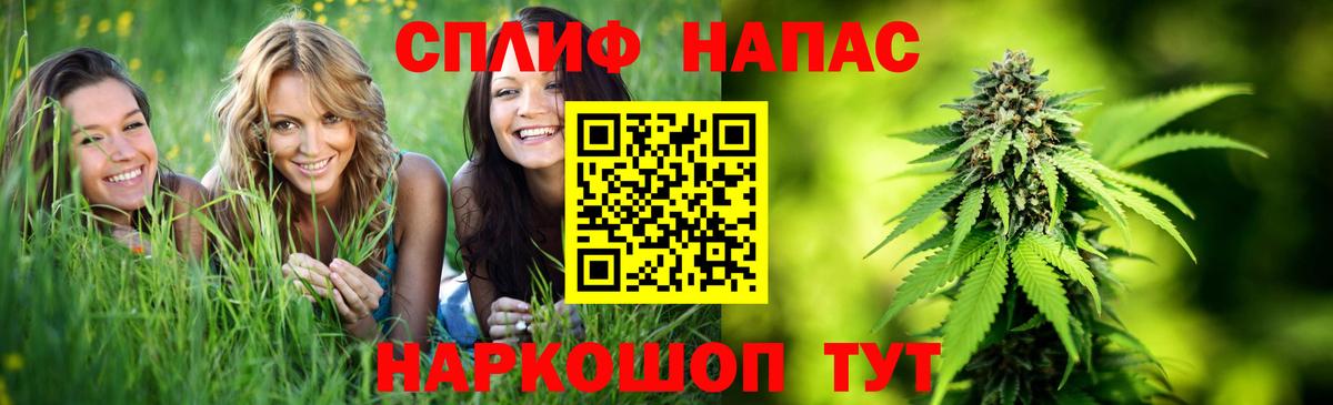 Канабис конопля Новороссийск